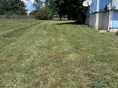 Lawn Care service in Lees Summit, 64063