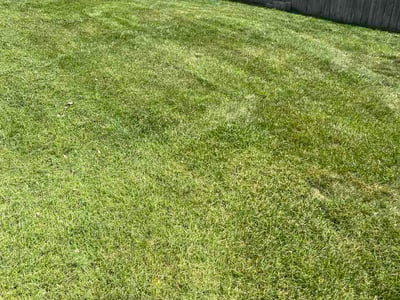 Lawn Care service in Holly, 48442