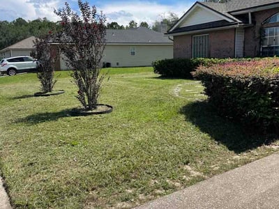 Lawn Care service in Royal Palm Beach, 33411
