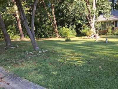 Lawn Care service in Austell, 30168