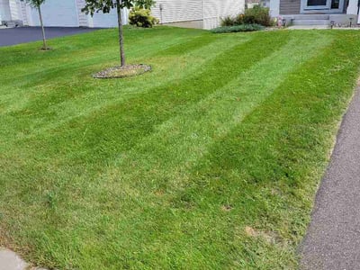 Lawn Care service in Minnetonka, 55345