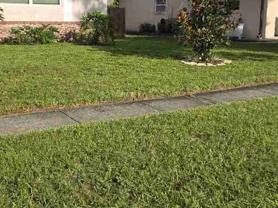 Lawn Care service in Winter Springs, 32708