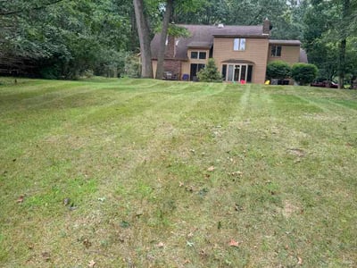 Lawn Care service in Okemos, 48864
