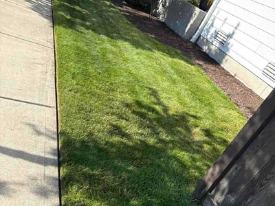 Lawn Care service in Bothell, 98011