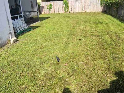 Lawn Care service in Lake Worth, 33460