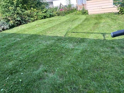 Lawn Care service in New Berlin, 53151