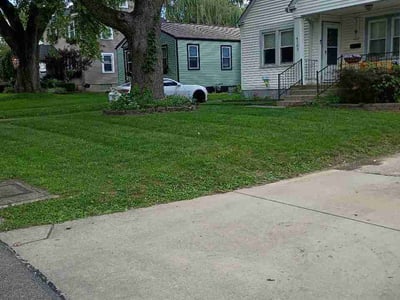 Lawn Care service in Wheeling, 26003