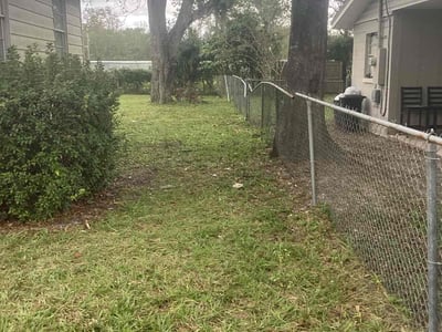 Lawn Care service in Las Vegas, 89101