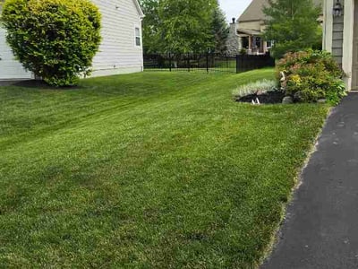Lawn Care service in Powell, 43065