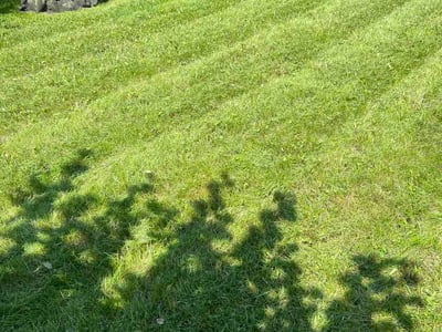 Lawn Care service in Springboro, 45066