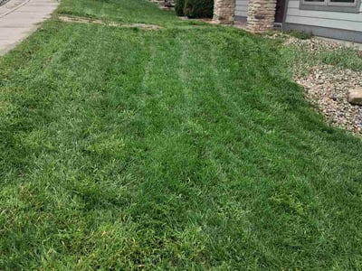 Lawn Care service in Middleton, 53562