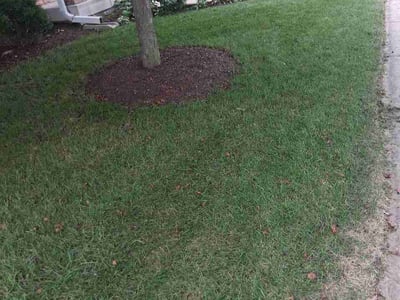 Lawn Care service in Middleton, 53562