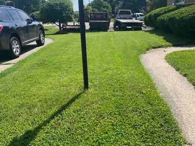 Lawn Care service in Springboro, 45066