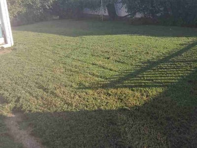 Lawn Care service in Roeland Park, 65401