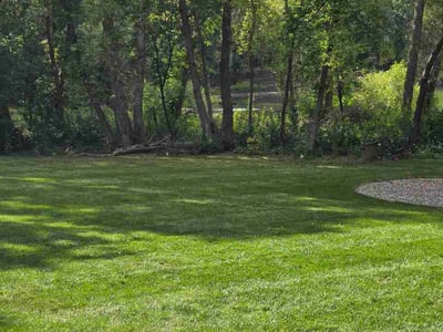 Lawn Care service in Eagan, 55123