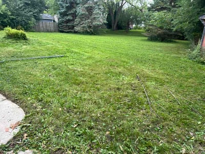 Lawn Care service in Elm Grove, 53122
