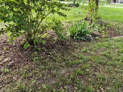 Lawn Care service in Eagan, 55123