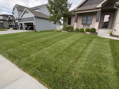 Lawn Care service in Papillion, 68046