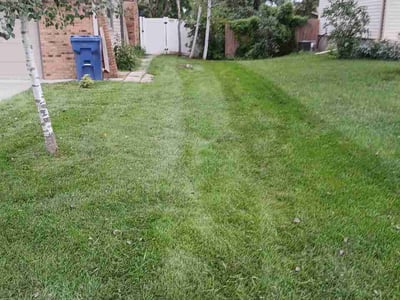 Lawn Care service in Papillion, 68046