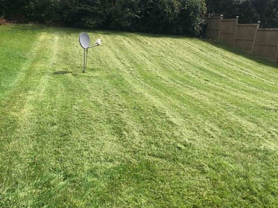 Lawn Care service in Piqua, 45356
