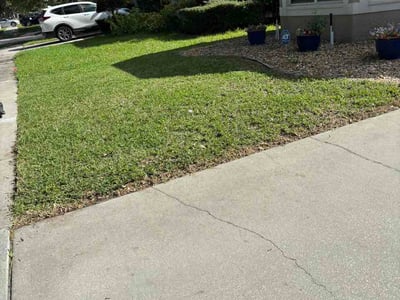 Lawn Care service in Tarpon Springs, 34689