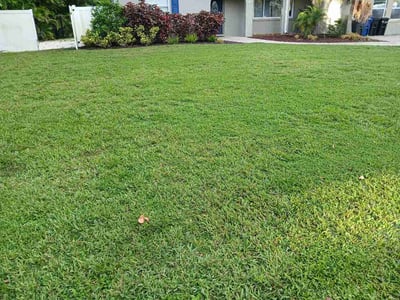Lawn Care service in Bradenton, 34205