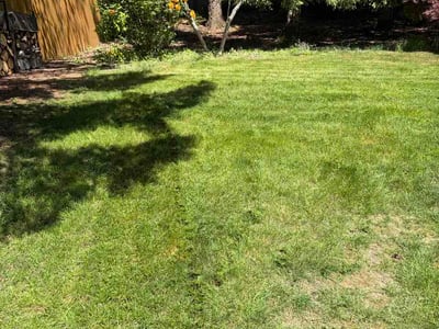 Lawn Care service in Renton, 98057