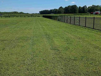 Lawn Care service in Kent, 98032
