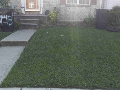 Lawn Care service in Hampstead, 21074