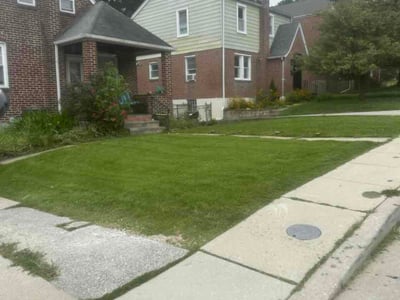Lawn Care service in Hampstead, 21074