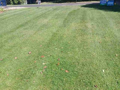 Lawn Care service in Burnsville, 55337
