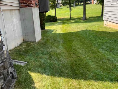 Lawn Care service in Chesterfield, 63017