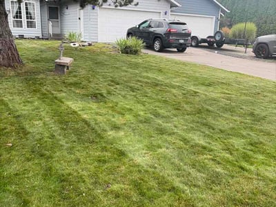 Lawn Care service in Issaquah, 98027