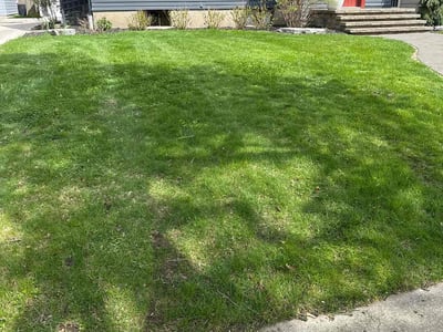 Lawn Care service in Grand Rapids, 49503