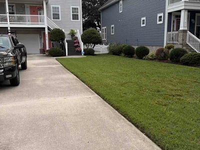 Lawn Care service in ,