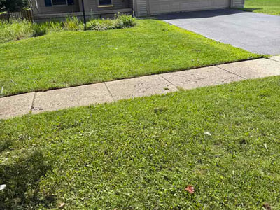 Lawn Care service in Pataskala, 43062