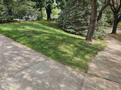 Lawn Care service in Granite City, 65401
