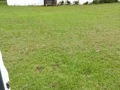 Lawn Care service in Naples, 34102