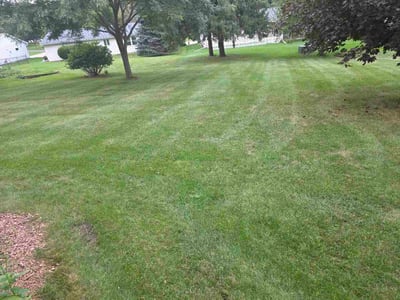 Lawn Care service in Waunakee, 53597