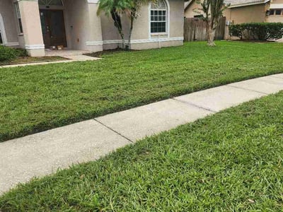 Lawn Care service in Palm Harbor, 34683