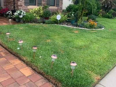 Lawn Care service in Palm Harbor, 34683