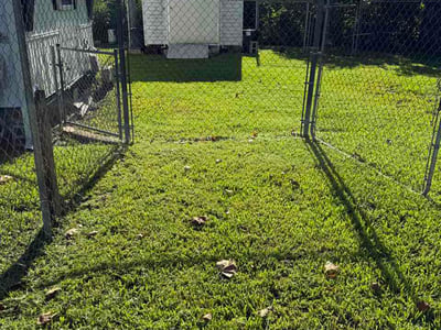 Lawn Care service in Odessa, 33556