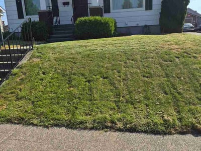 Lawn Care service in Colville, 99114