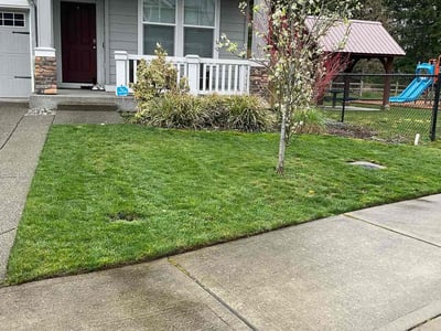 Lawn Care service in Bonney Lake, 98391
