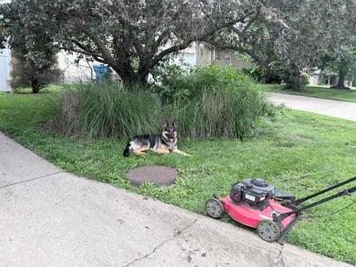 Lawn Care service in Ozark, 65721