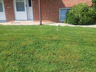 Lawn Care service in Clayton, 63105