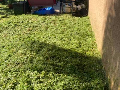 Lawn Care service in Windermere, 34786