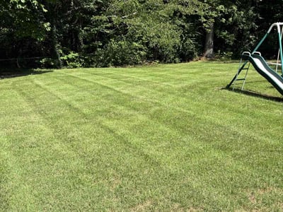 Lawn Care service in Jasper, 35501