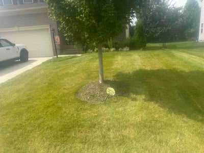 Lawn Care service in Hopewell, 23860