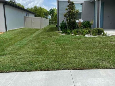 Lawn Care service in Lithia, 33547